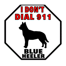 Blue Heeler 911 Pet Sign