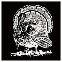 5"x6" Turkey Right Side