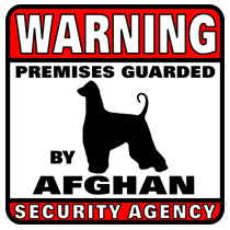 Afghan Security Agency