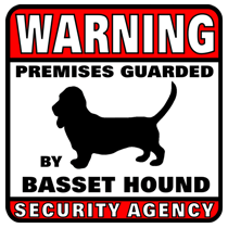 Basset Hound Security Agency