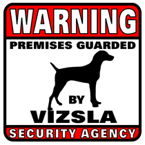 Vizsla Security Agency