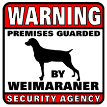 Weimaraner Security Agency