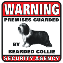 Bearded Collie Security Agency