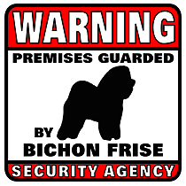 Bichon Frise Security Agency