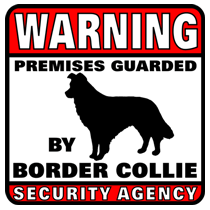 Border Collie Security Agency