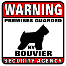 Bouvier Security Agency