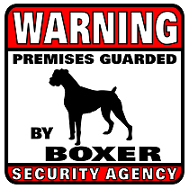 Boxer Security Agency