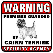 Cairn Terrier Security Agency