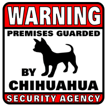 Chihuahua Security Agency