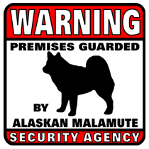 Alaskan Malamute Security Agency