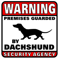 Dachshund Security Agency