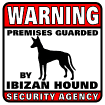 Ibizan Hound Security Agency