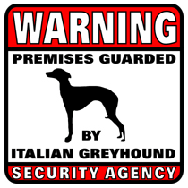 Italian Greyhound Security Agency