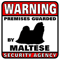 Maltese Security Agency