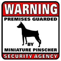 Miniature Pinscher Security Agency