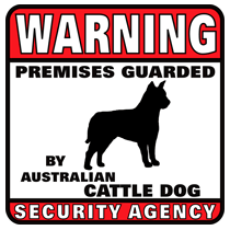 Australian Cattle Dog Security Agency