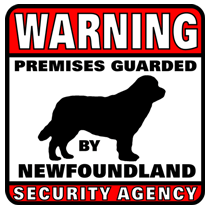 Newfoundland Security Agency