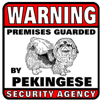 Pekingese Security Agency