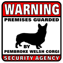 Pembroke Welsh Corgi Security Agency