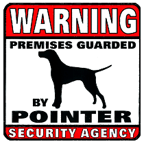 Pointer Security Agency