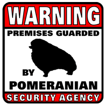 Pomeranian Security Agency