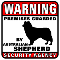 Australian Shepherd  Security Agency