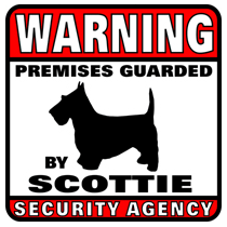 Scottie Security Agency