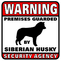 Siberian Husky Security Agency
