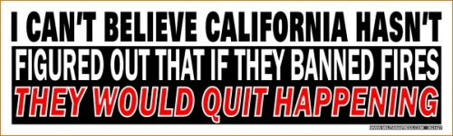 I Can't Believe California Hasn't Figured Out That If They Ban Fires - They Would Quit Happening